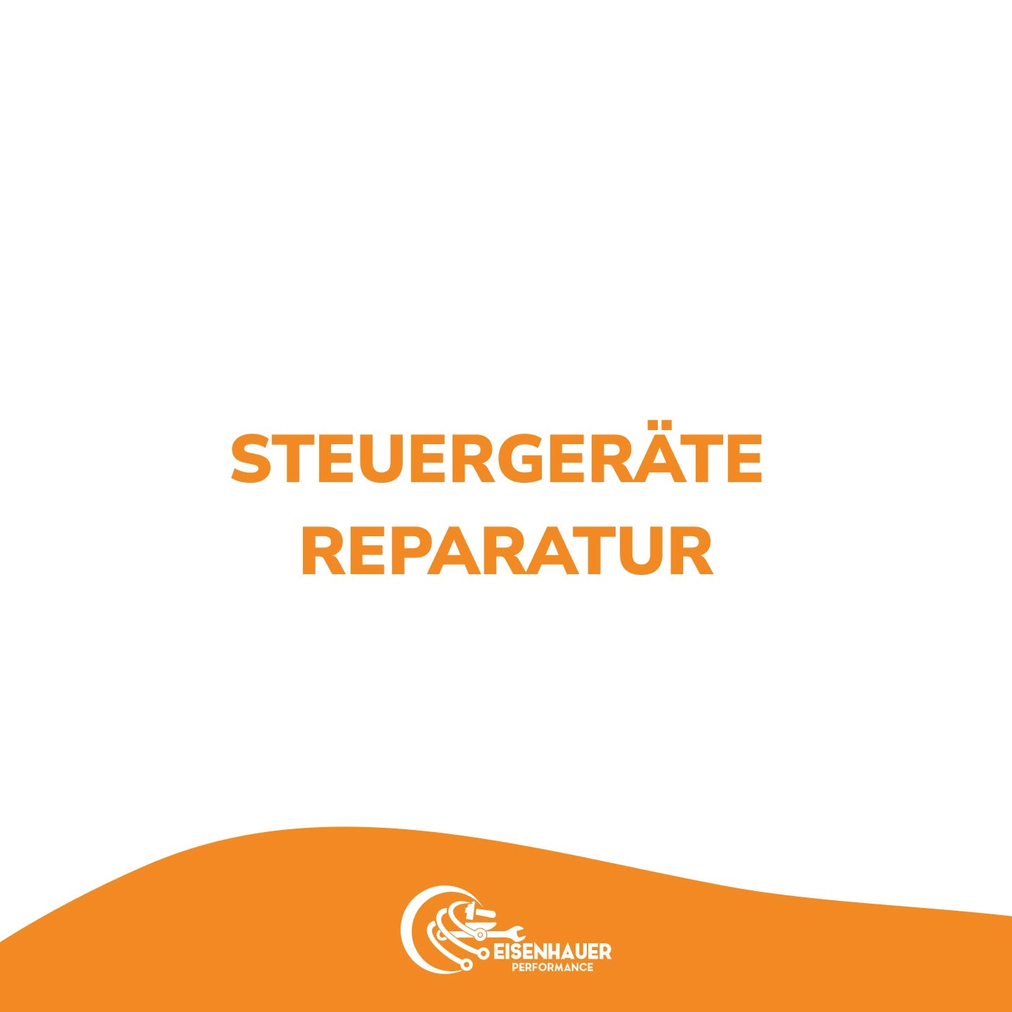 Steuergerät Reparatur